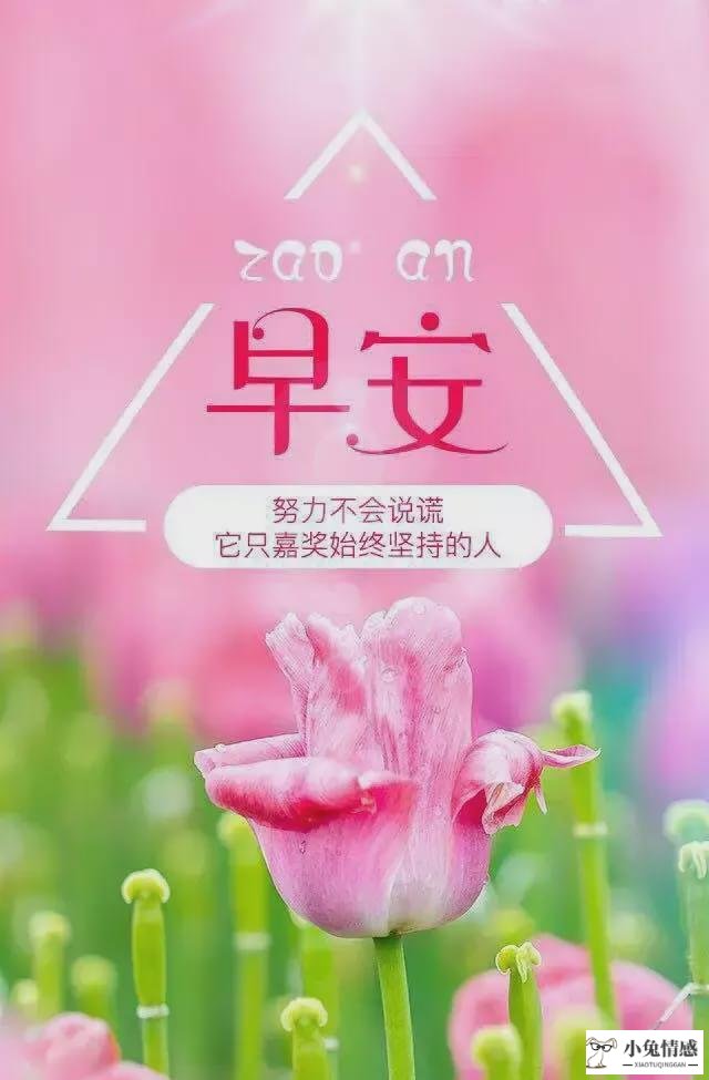 高情商说早安_黄磊智商情商为什么那么高_八字看什么样的女人情商高