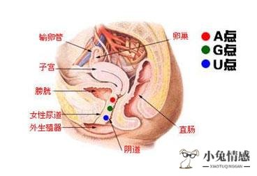 女性性保建按摩视频_夫妻性生生活技巧_夫妻性生活前的女性按摩技巧