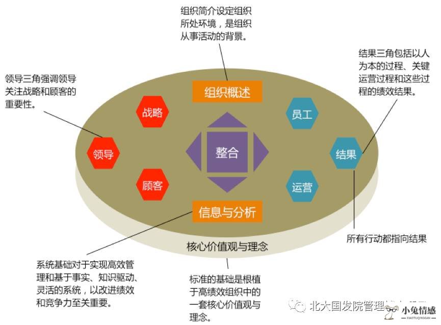 高情商问题_智商比情商更重要问题_情商高和智商高哪个好