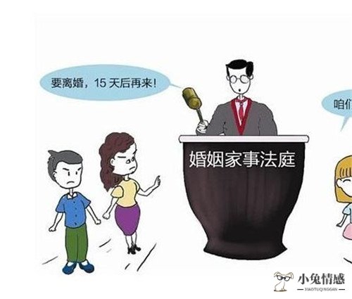 离婚诉讼请律师多少钱