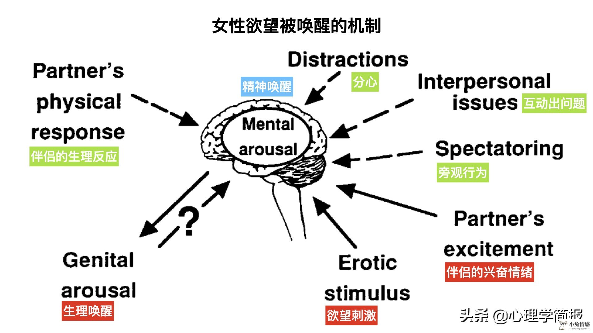 加拿大心理学家：女人的性心理发展规律｜欲望由自发转为被动引导