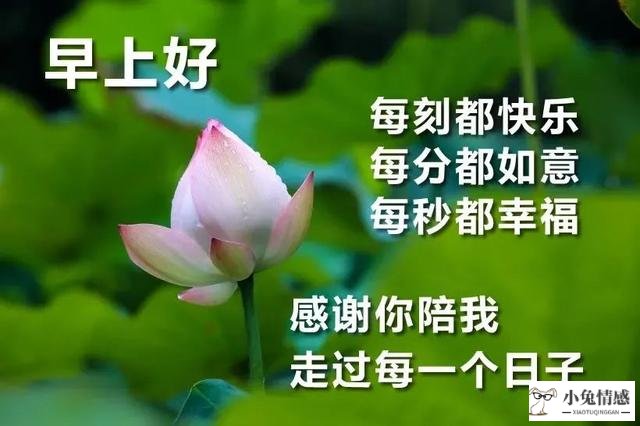 崔小西玩不转情商,还敢做销售^^^销售三绝:找对人、说对话、_黄磊智商情商为什么那么高_高情商说早安