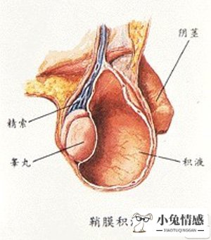 撒尿给女人看女人有什么想法_有想法和抱负的女人_女人想法