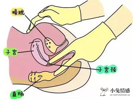 给女性性按摩视频_夫妻性生生活技巧_夫妻性生活前的女性按摩技巧