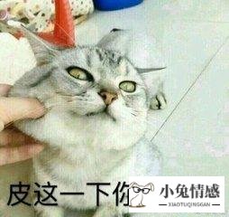 女人内心的想法