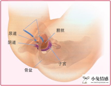 女人受益一生的7堂女学课_杨澜给女人的24堂幸福课在线阅读_提升女人幸福力的10堂课