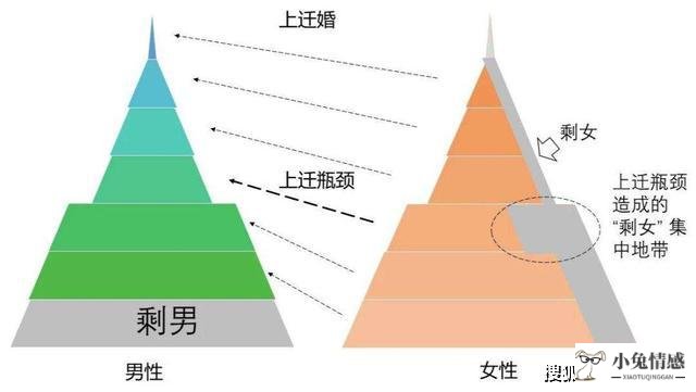 优质男追求