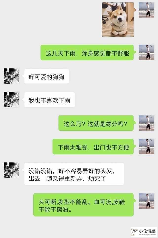 高情商的男人追女人会有什么表现