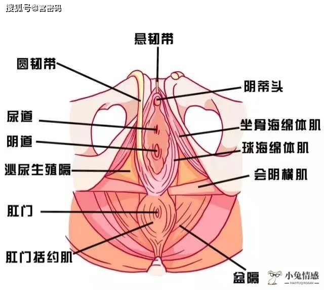 性生活前戏技巧_女人应该知道的前戏技巧_对男人前戏技巧