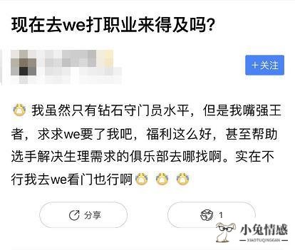 we队员女友出轨