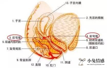 女性潮吹的实用性技巧_男女性生活技巧_女性理财精过品质生活