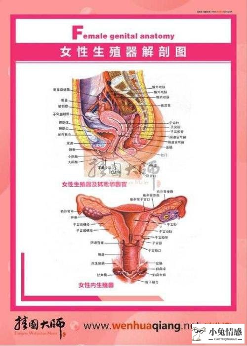 女人摸了男人生殖器有什么想法_女人摸了男人生殖器有什么想法_女人 想法 男人