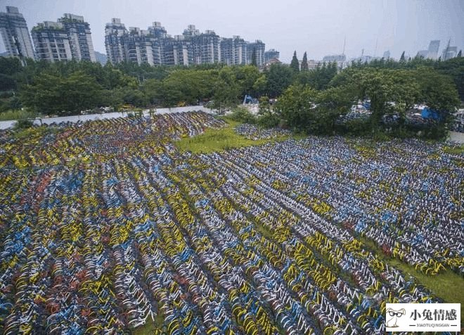 业内：近半年，共享经济约15亿元押金有去无回