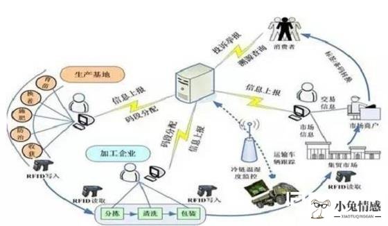 共享经济 生态圈_生态文明建设与低碳经济考试答案_零工经济与共享经济