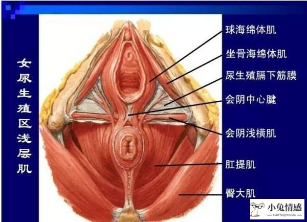 两性性情感_两性生活技巧_两性性生活技巧