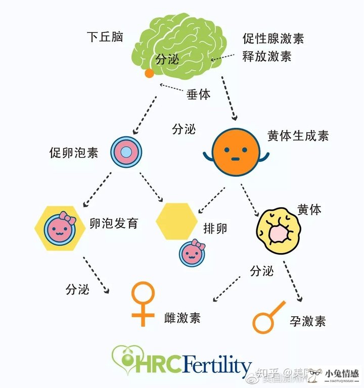 1 男女的性生活秘诀