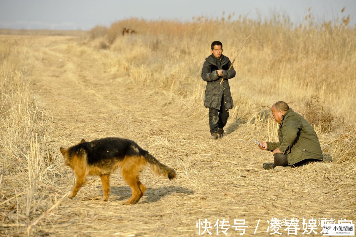 关于男孩子说越来越喜欢我