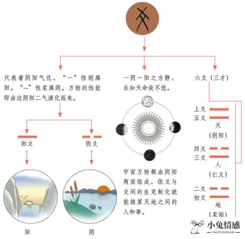 处女座的女生感情运势