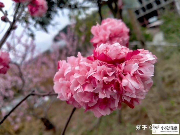 <b>女人出轨，老公该如何去面对？七个建议让你摆脱痛苦，活出精彩</b>