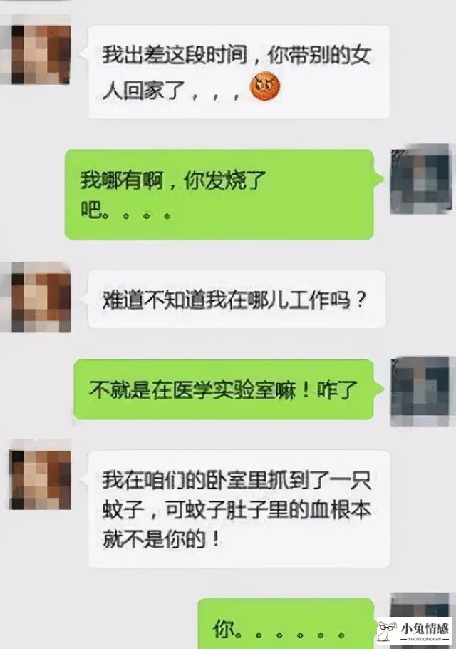 高情商跟女孩聊天_情商高好还是智商高好_情商高又幽默的女孩