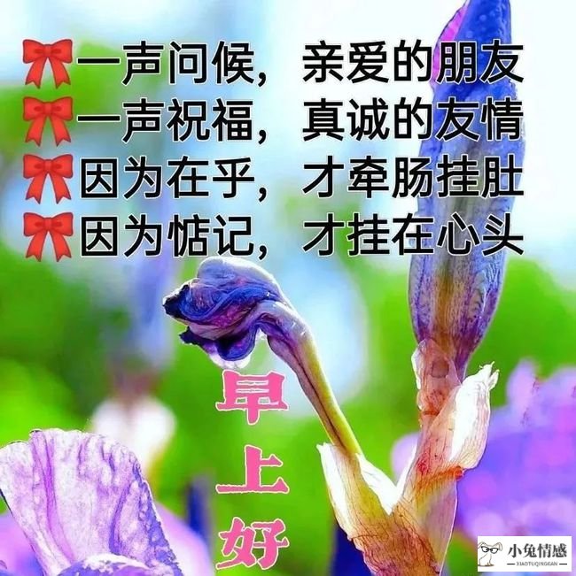 高情商说早安_为啥说林志玲情商高_一秒测你是情商高还是智商高