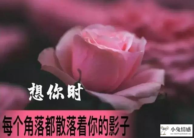 <b>给前男友一封挽回的信</b>