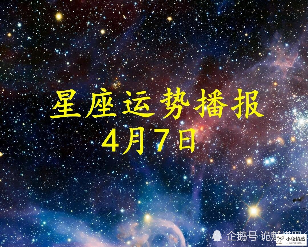 黑心塔罗双鱼座感情运势,星座运势