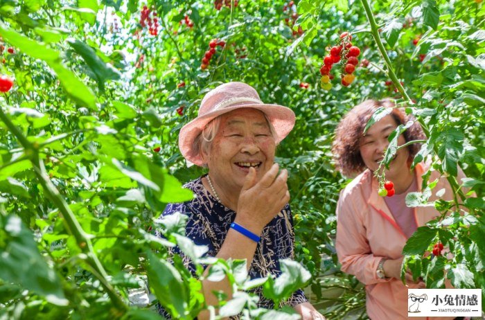 和女朋友聊天技巧_女人和男人聊天技巧_交女朋友聊天技巧