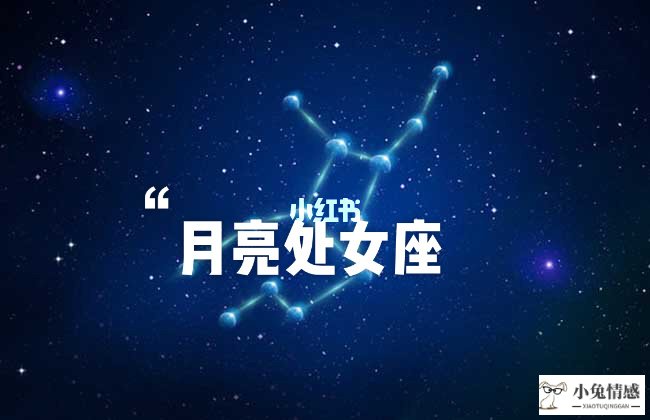 太阳星座和月亮星座：太阳处女座