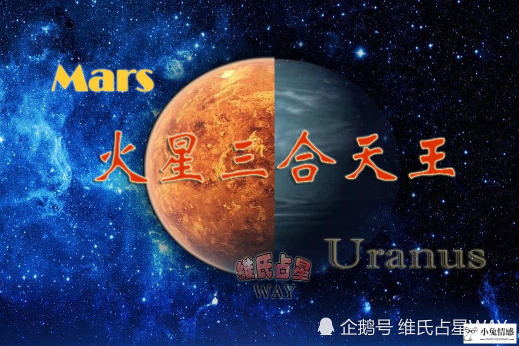 星座运势属鸡人今日运势_星座情感运势_星座运势11月运势2015