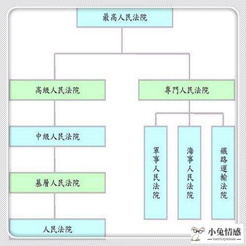 想请个律师代理离婚诉讼