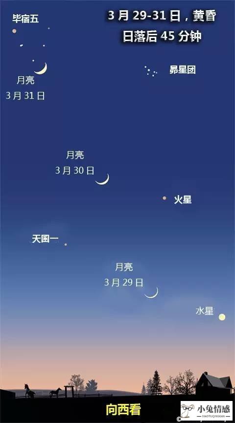 12星座运势2016运势_星座情感运势_星座运势2016年运势