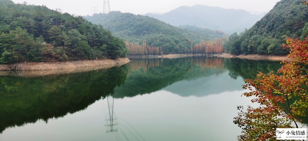 律师总结离婚协议书中常见的三个大坑！内附离婚协议书范本