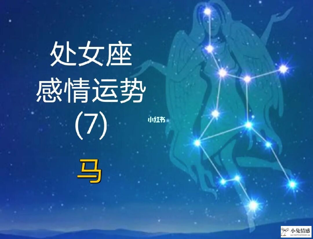 第一星运：处女座2016年运势