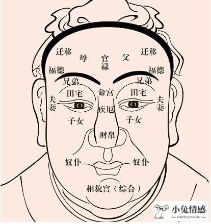 任泽平：从面相、星座、职场、长寿看透人心 整个情感博主界颤抖了！