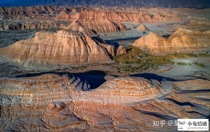 星座分析情感准吗_双子座和12星座的情感终极配对_星座情感爱情