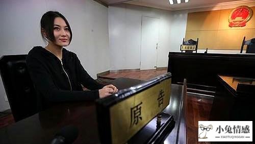 夫妻诉讼离婚一审是终审吗_离婚诉讼_诉讼离婚程序