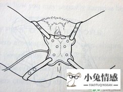 异地恋怎么解决生理需要？异地恋怎么哄女朋友开心？