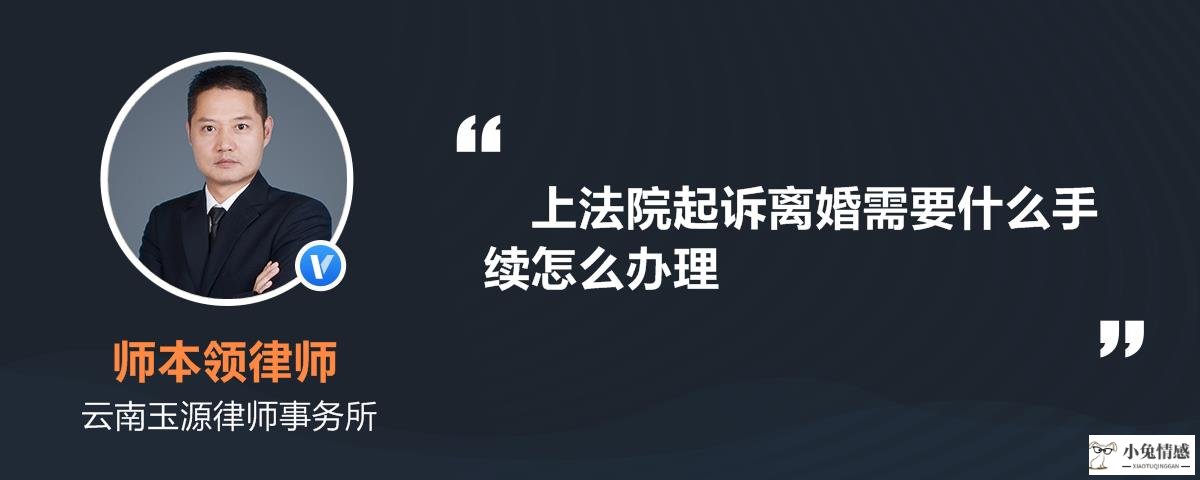 离婚可以诉讼离婚吗_女方提出离婚起诉去哪起诉_离婚诉讼起诉状