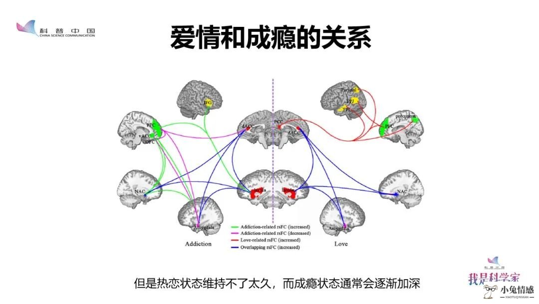 何为“实验型”的确定恋爱关系？