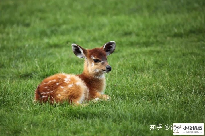 该不该原谅出轨的丈夫_如何原谅出轨的丈夫_丈夫精神出轨老婆会原谅吗