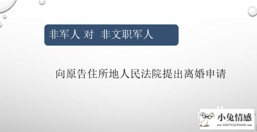 诉讼离婚程序怎么走_诉讼离婚程序_离婚诉讼转为普通程序