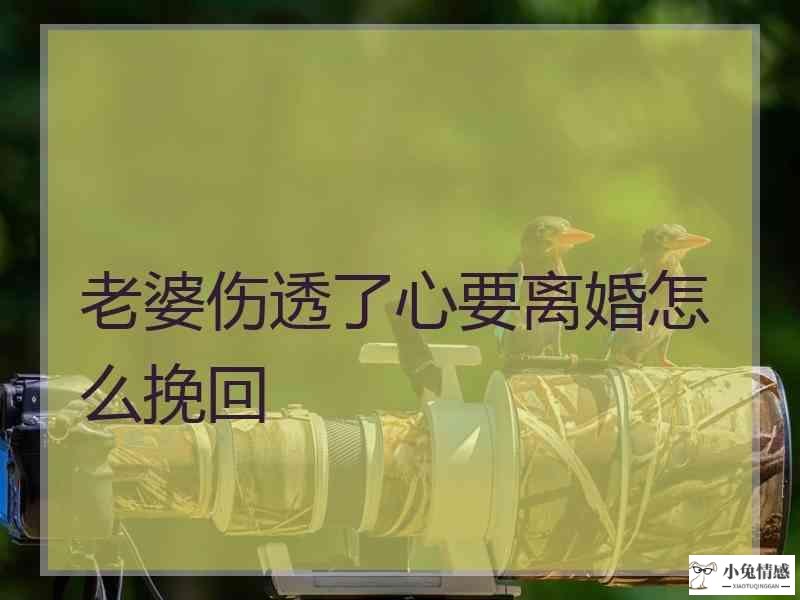 离婚后学会两招就能去成功挽回老公的心