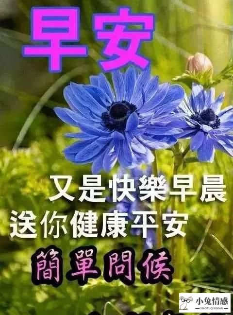 高情商说早安，一句早上好暖心的话