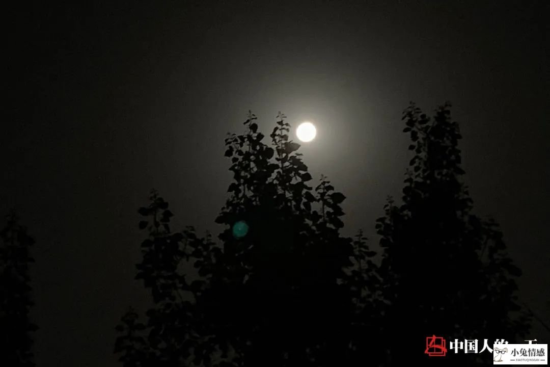 约女孩子到家里吃饭怎么说_请朋友到家吃饭 过夜_讨厌老公朋友到家吃饭